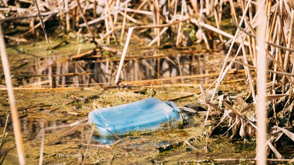 old-plastic-canister-floats-in-water-of-swamp-or-QZFL7BG