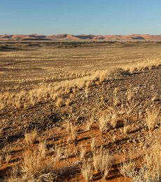 sossusvlei-namibia-7WZXLN3