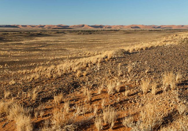 sossusvlei-namibia-7WZXLN3