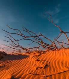 stunning-view-of-lonely-sand-dunes-PEHMLXP-1